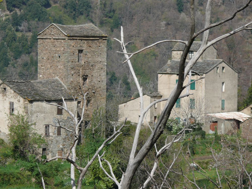 route de Valle-d'Orezza