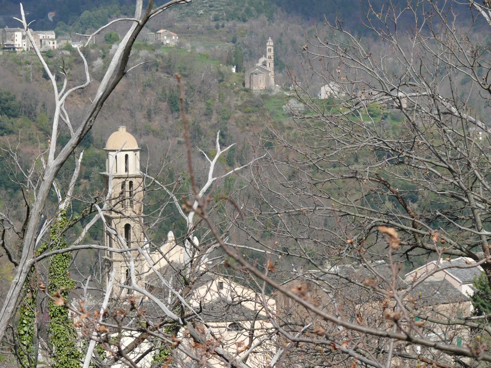 route de Valle-d'Orezza