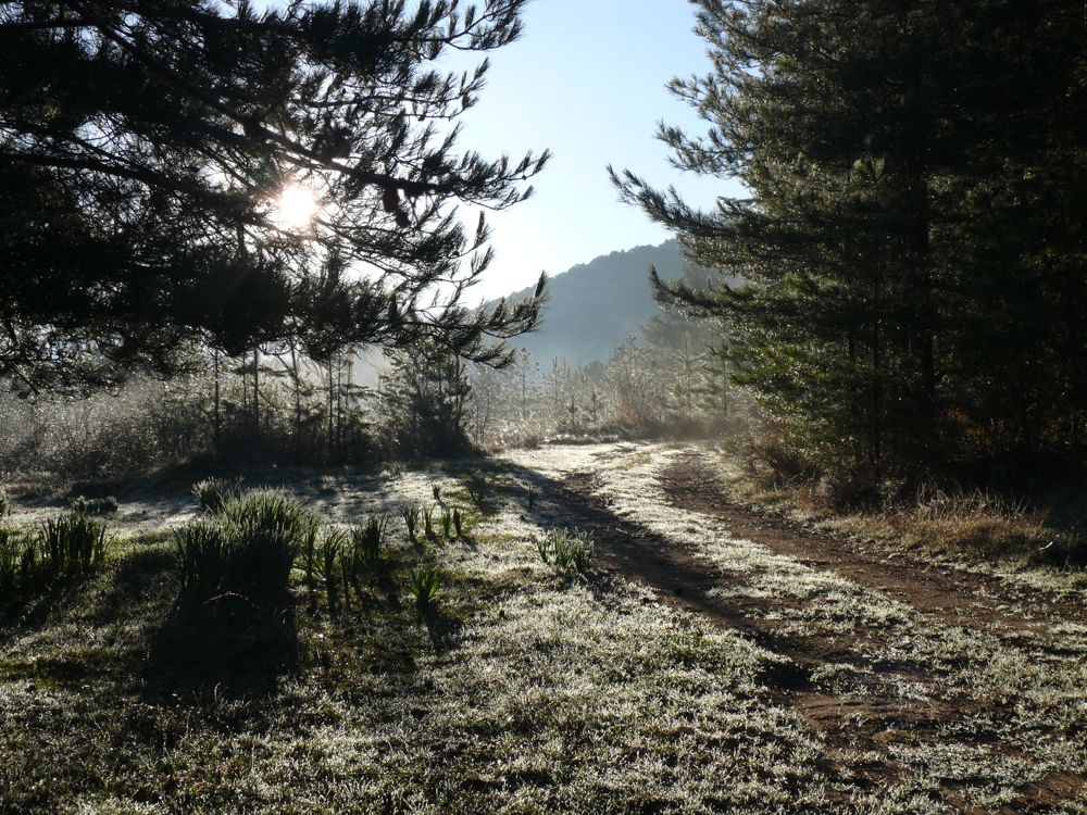 Bivouac retour du col de Vergio