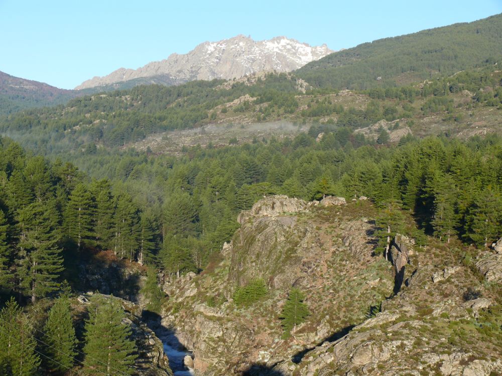 Bivouac retour du col de Vergio