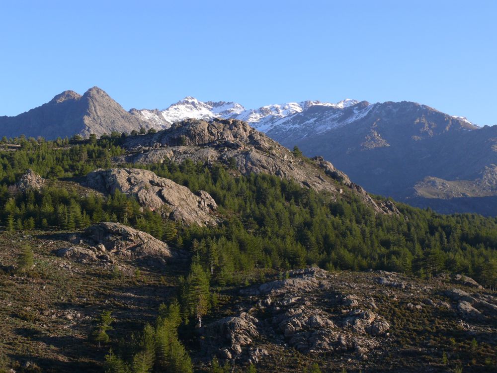 Bivouac retour du col de Vergio
