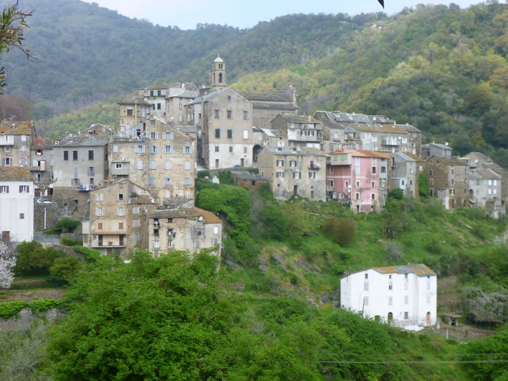 Vescovato