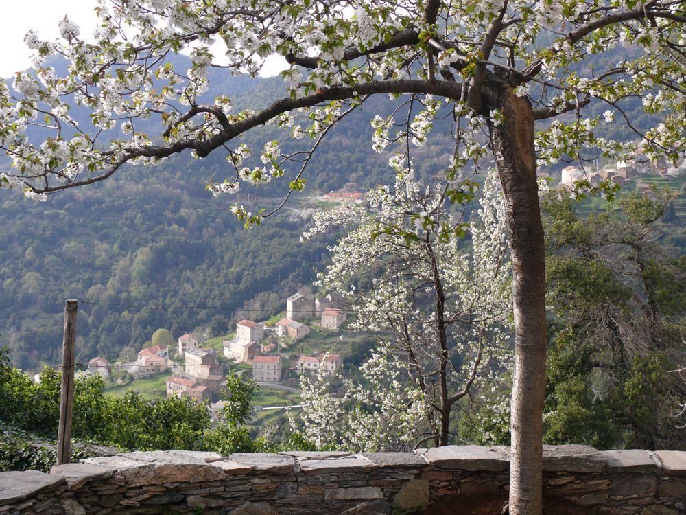  San-Lorenzzo : Chapelle San Quilico