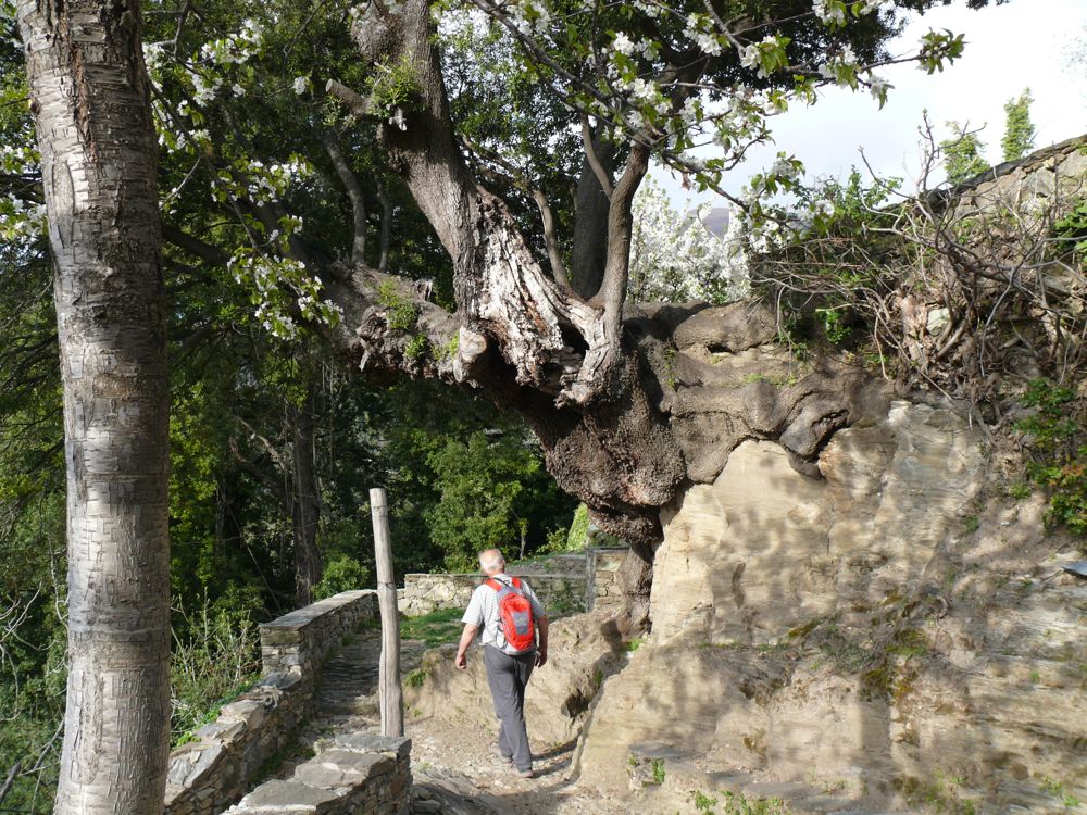  San-Lorenzzo : Chapelle San Quilico
