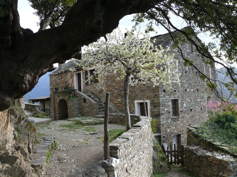  San-Lorenzzo : Chapelle San Quilico