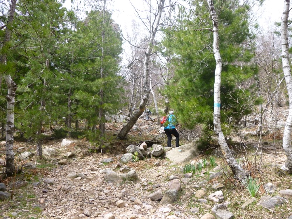 Balade cascades de Radule
