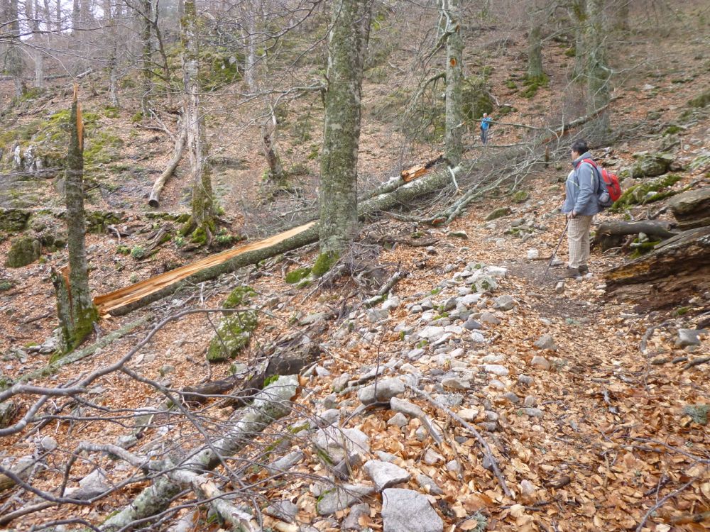 Rando pour le lac de Nino
