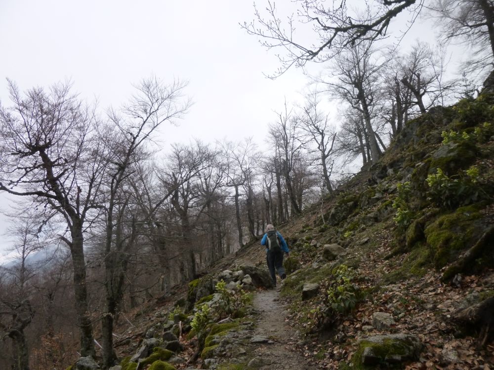 Rando pour le lac de Nino