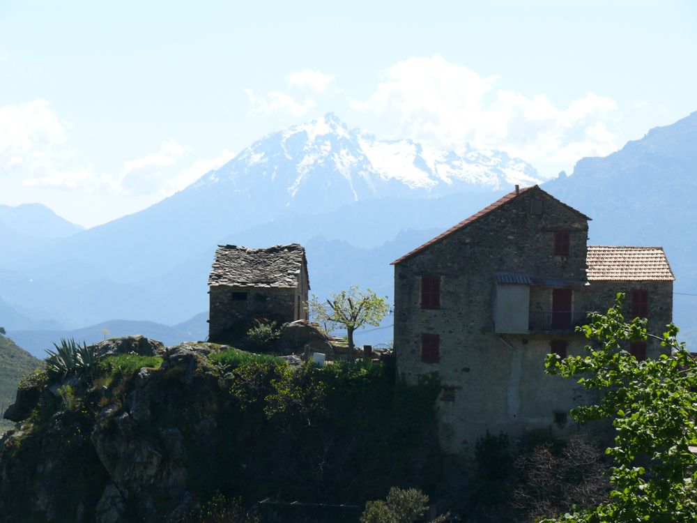 Sermano