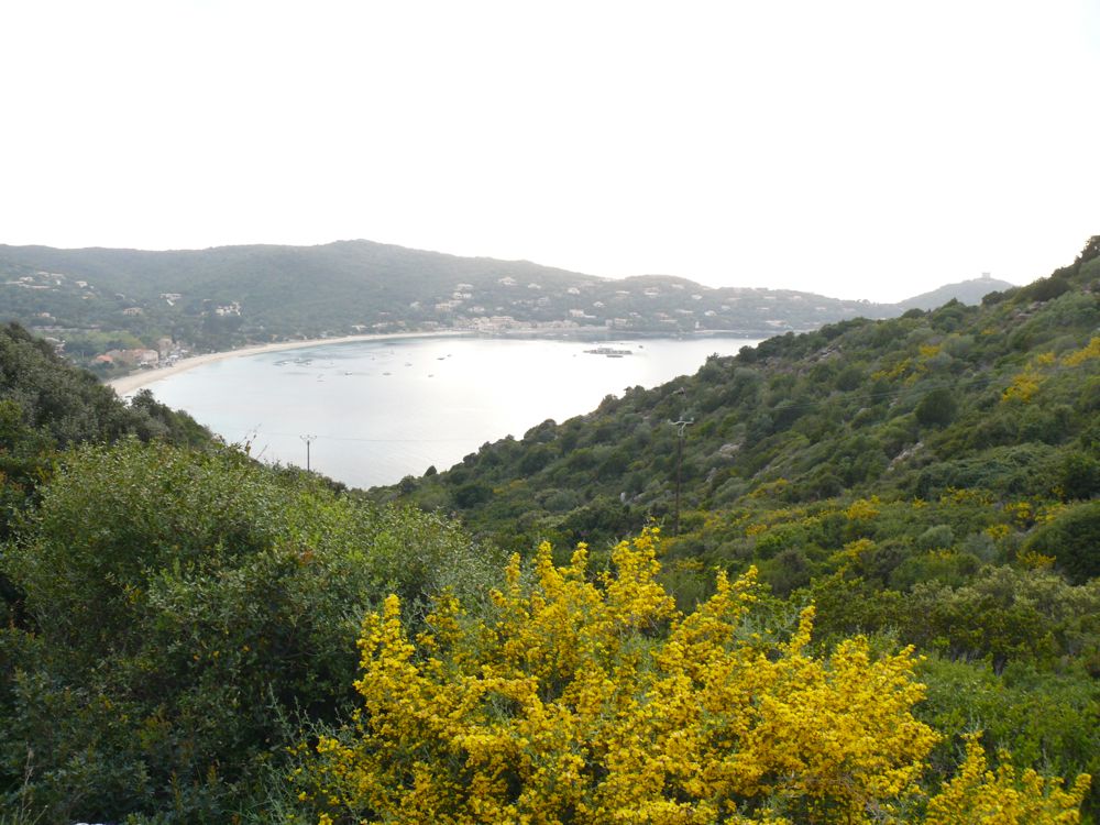 Campomoro