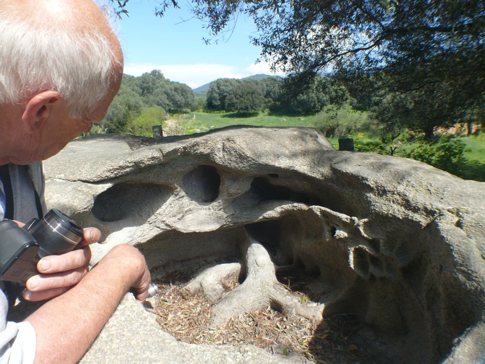 Site de Filitosa