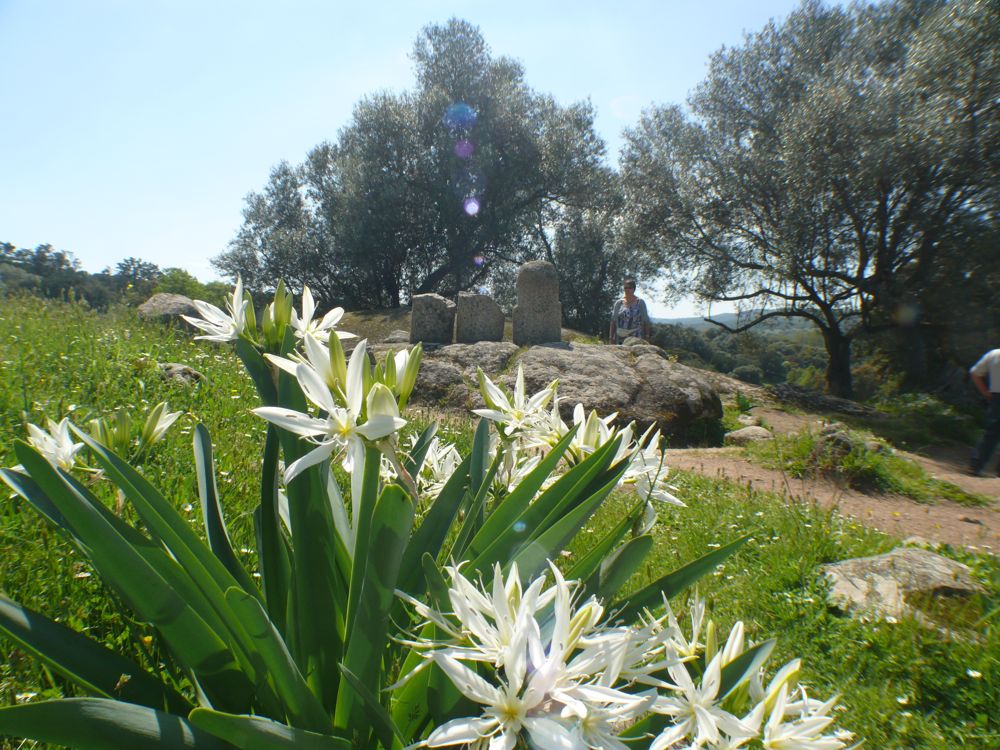 Site de Filitosa