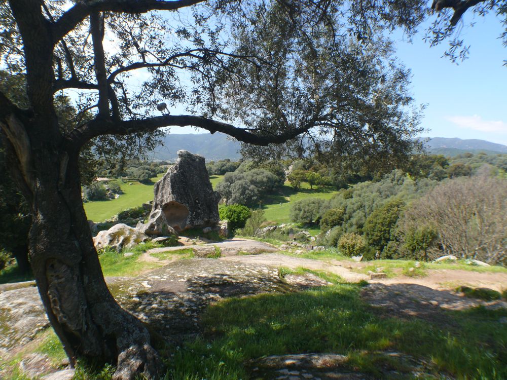 Site de Filitosa