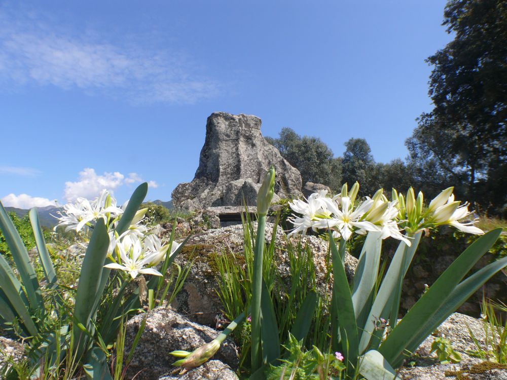 Site de Filitosa