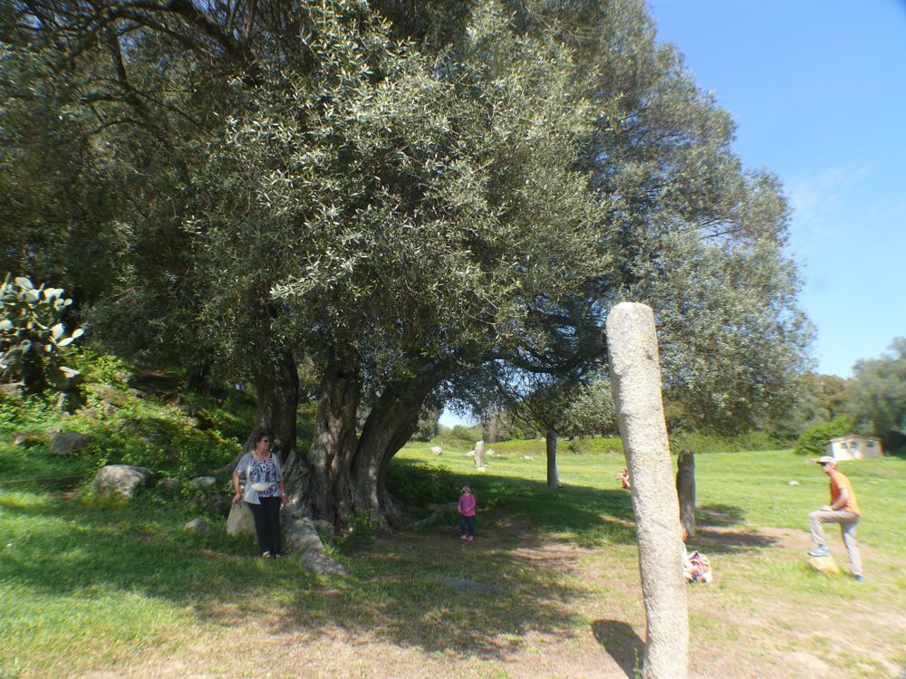Site de Filitosa