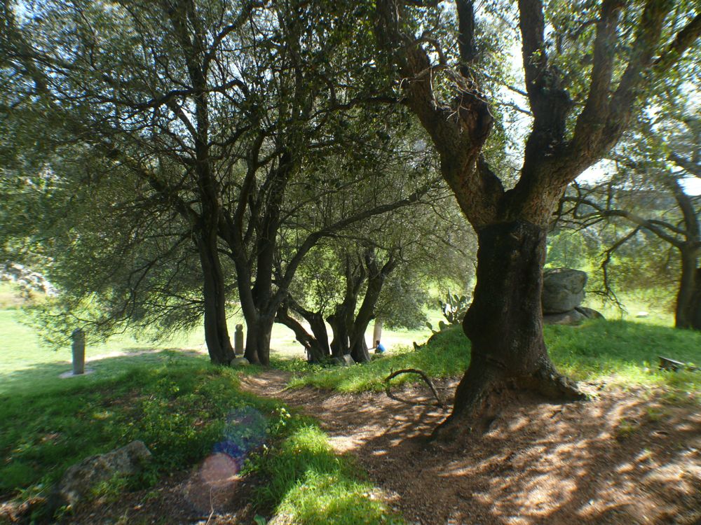 Site de Filitosa
