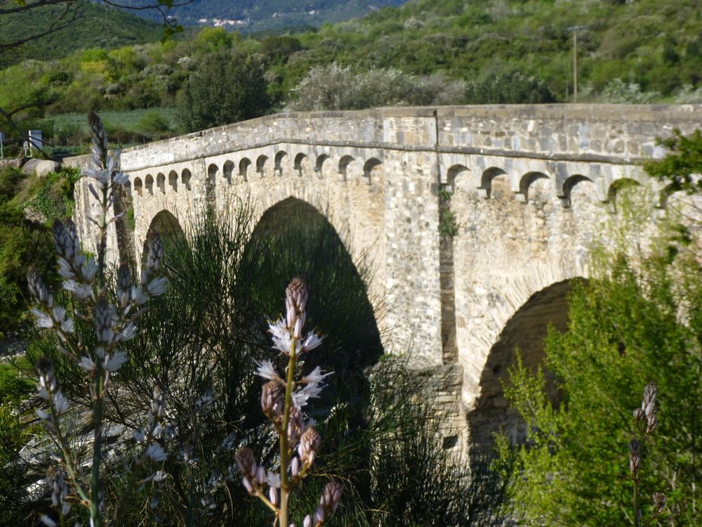 Chapelle Altiani et le pont Génois