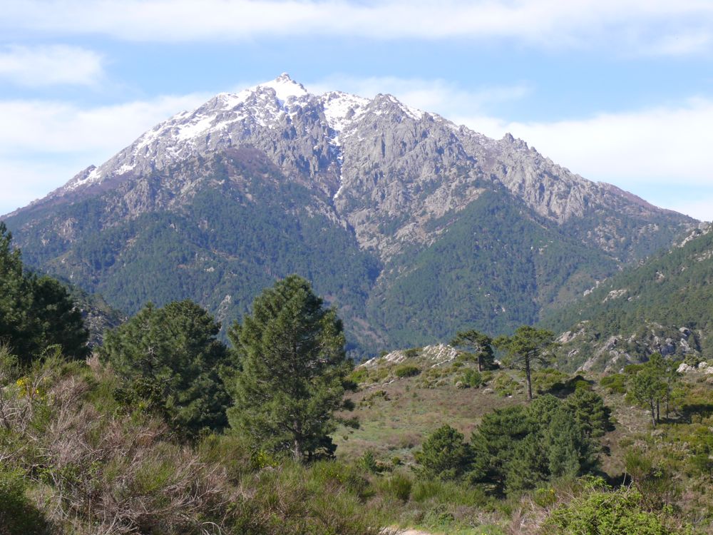 sur la route de Vivario