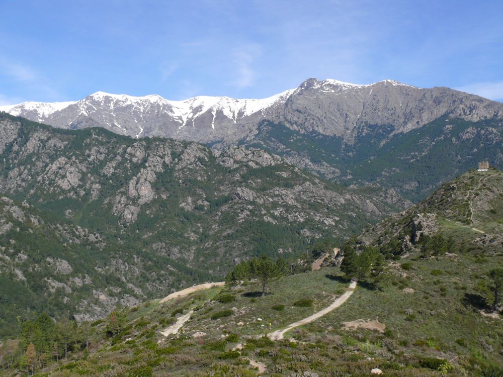 sur la route de Vivario