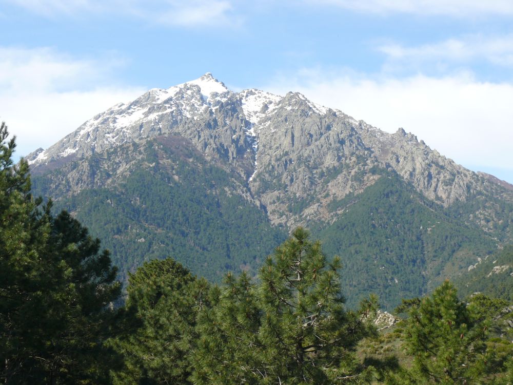 sur la route de Vivario