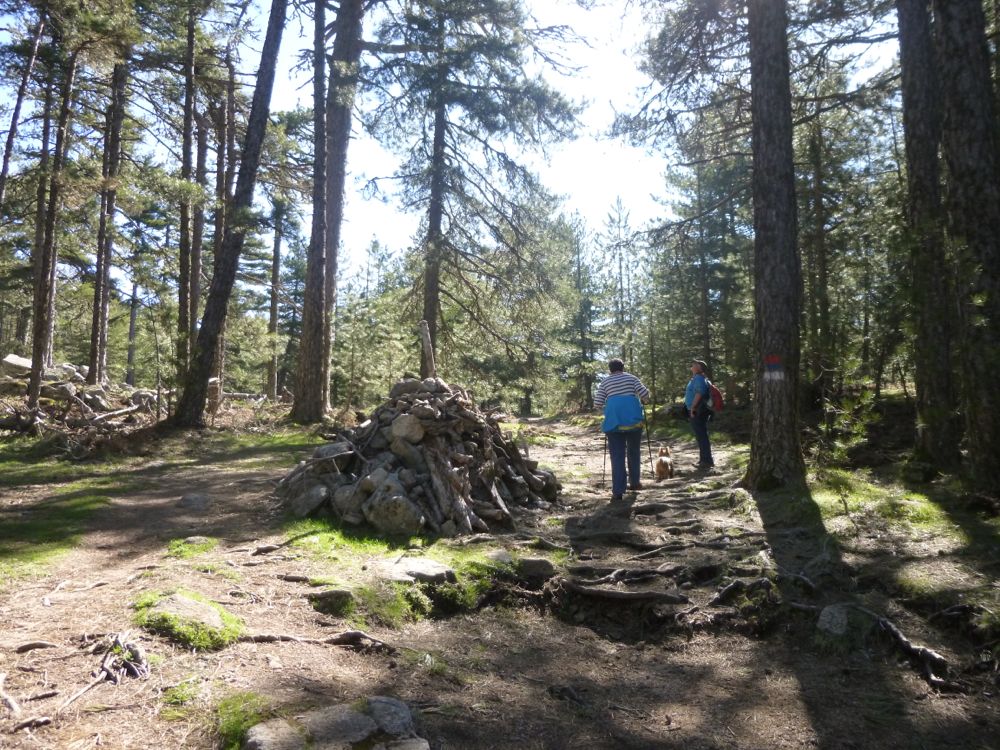  Col de Bavella : Rando Trou de la Bombe