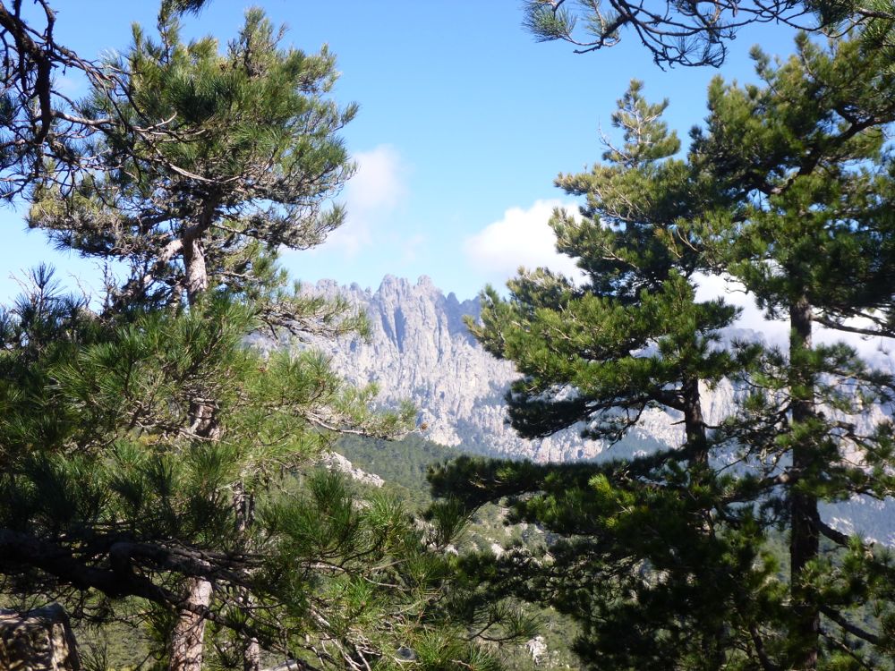  Col de Bavella : Rando Trou de la Bombe