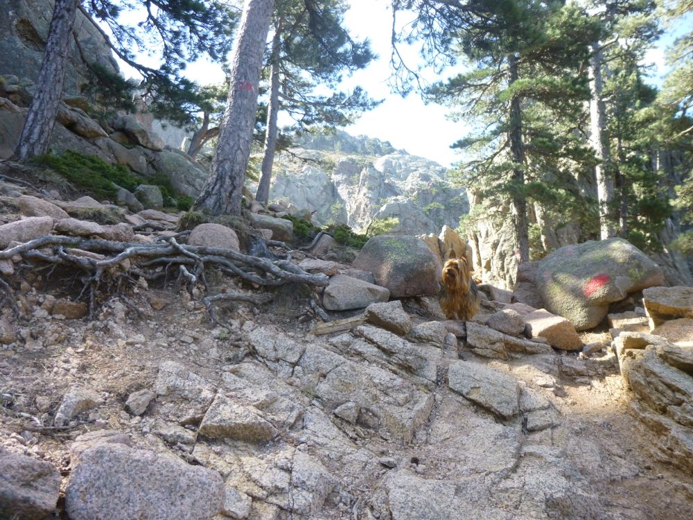  Col de Bavella : Rando Trou de la Bombe