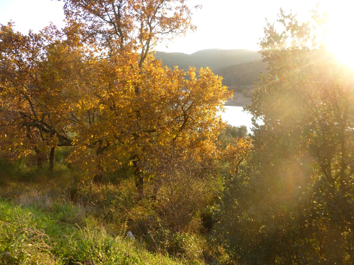 Lac de Saint Cassien