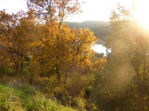 Lac de Saint Cassien