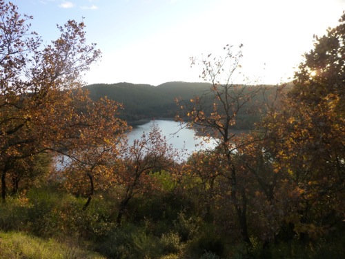 Lac de Saint Cassien