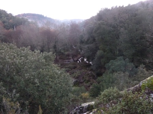 Chapelle de Saint Cassien des Bois