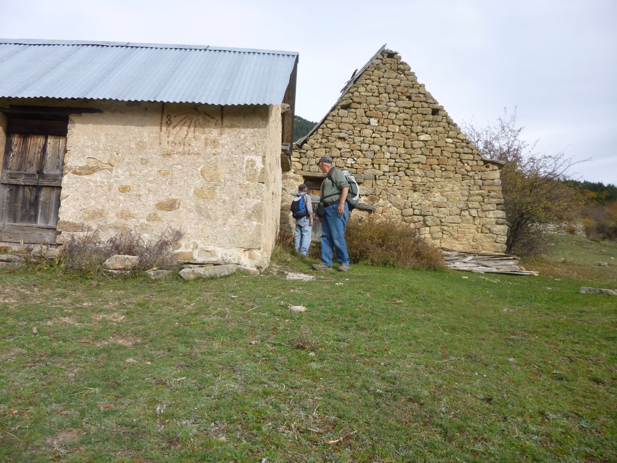 P1020249