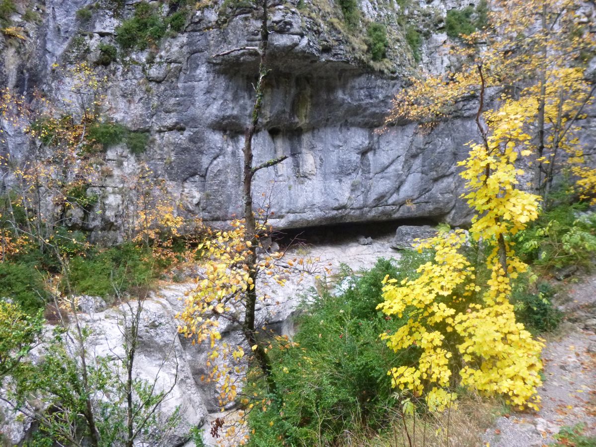 P1020280