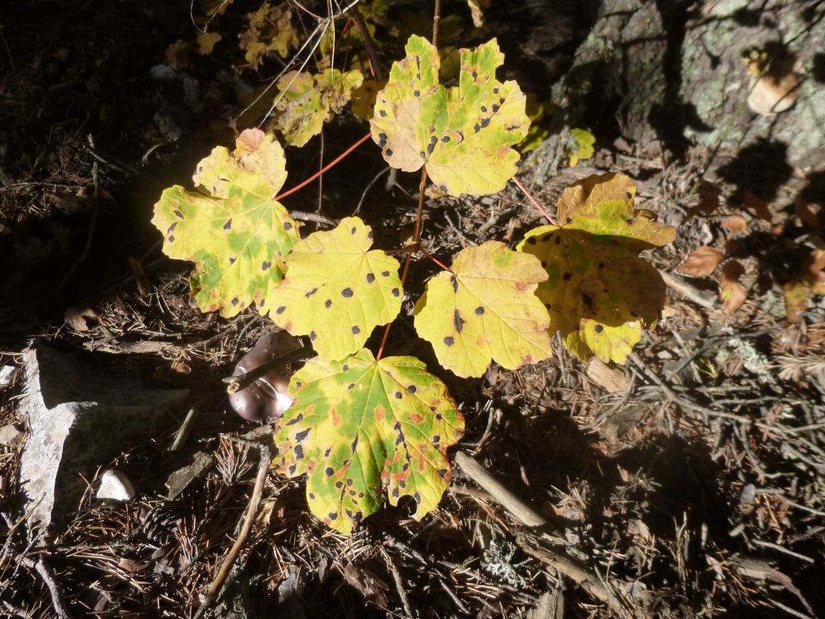 P1020205