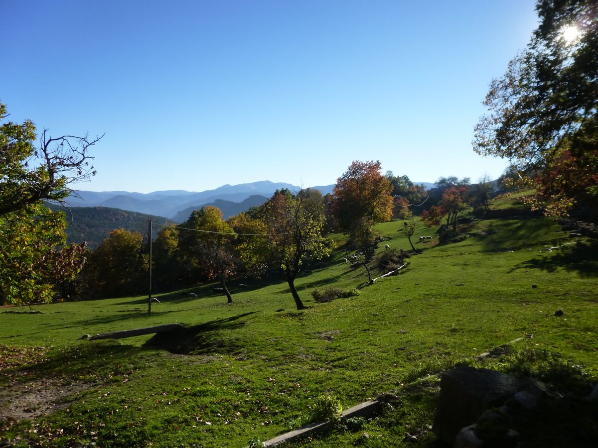 P1020240