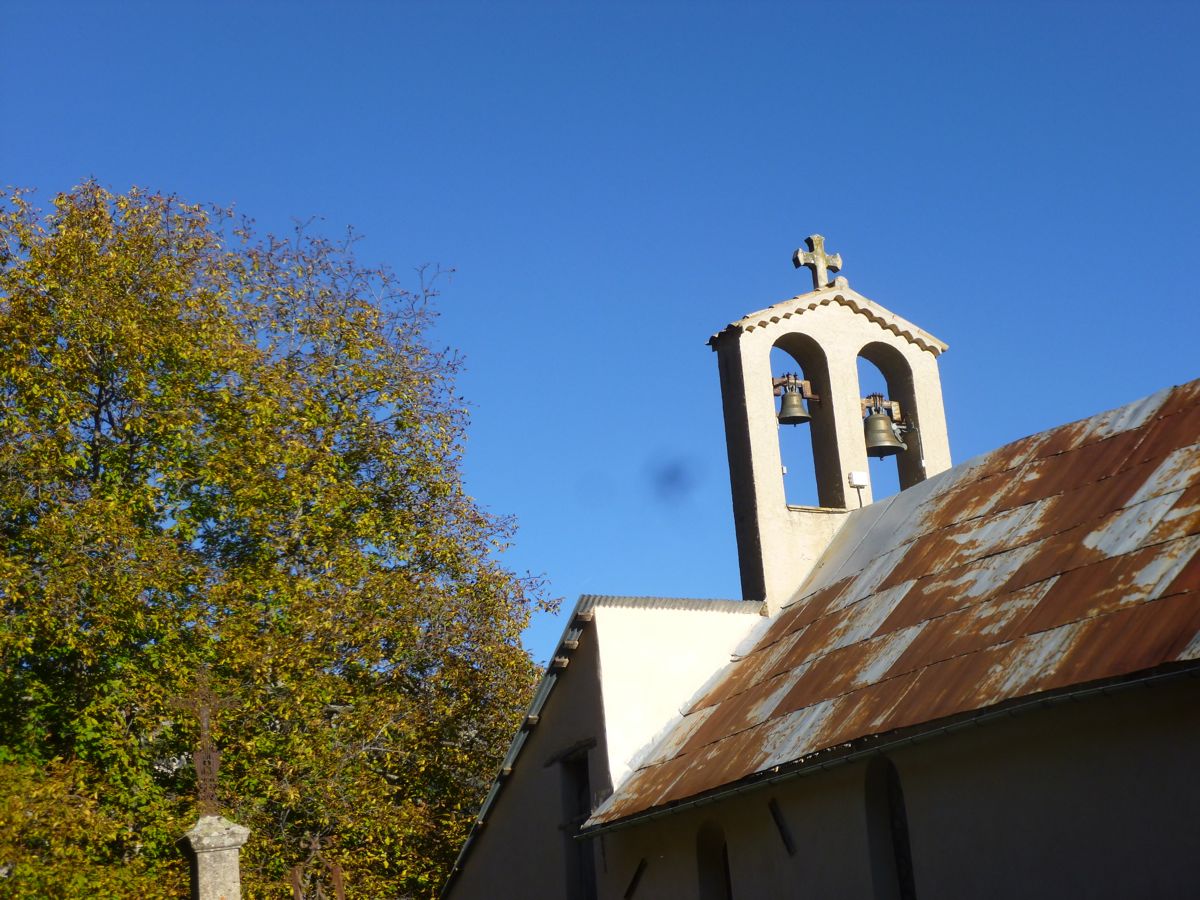 P1020243