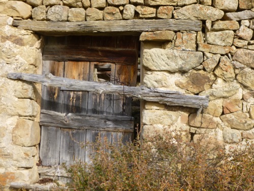 P1020251