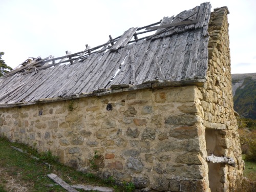 P1020252