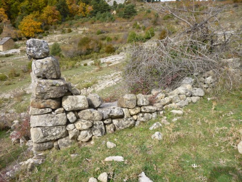 P1020253