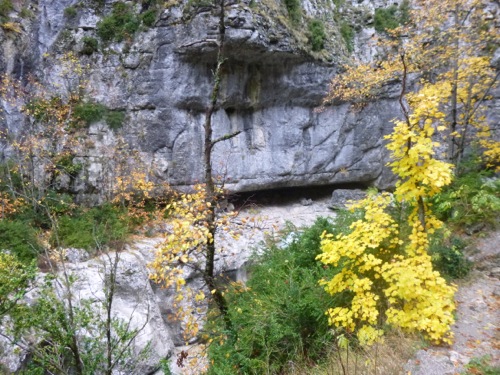 P1020280