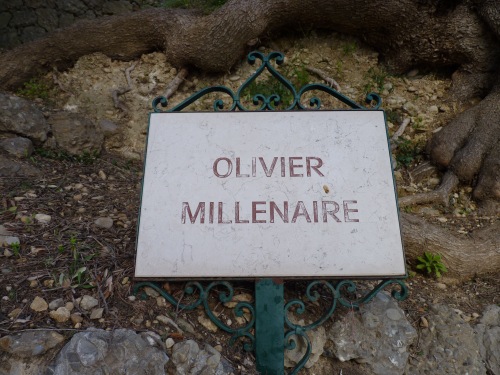 Roquebrune Cap-Martin