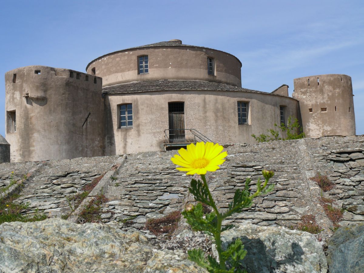 Tournage de Malaterra à St Florent