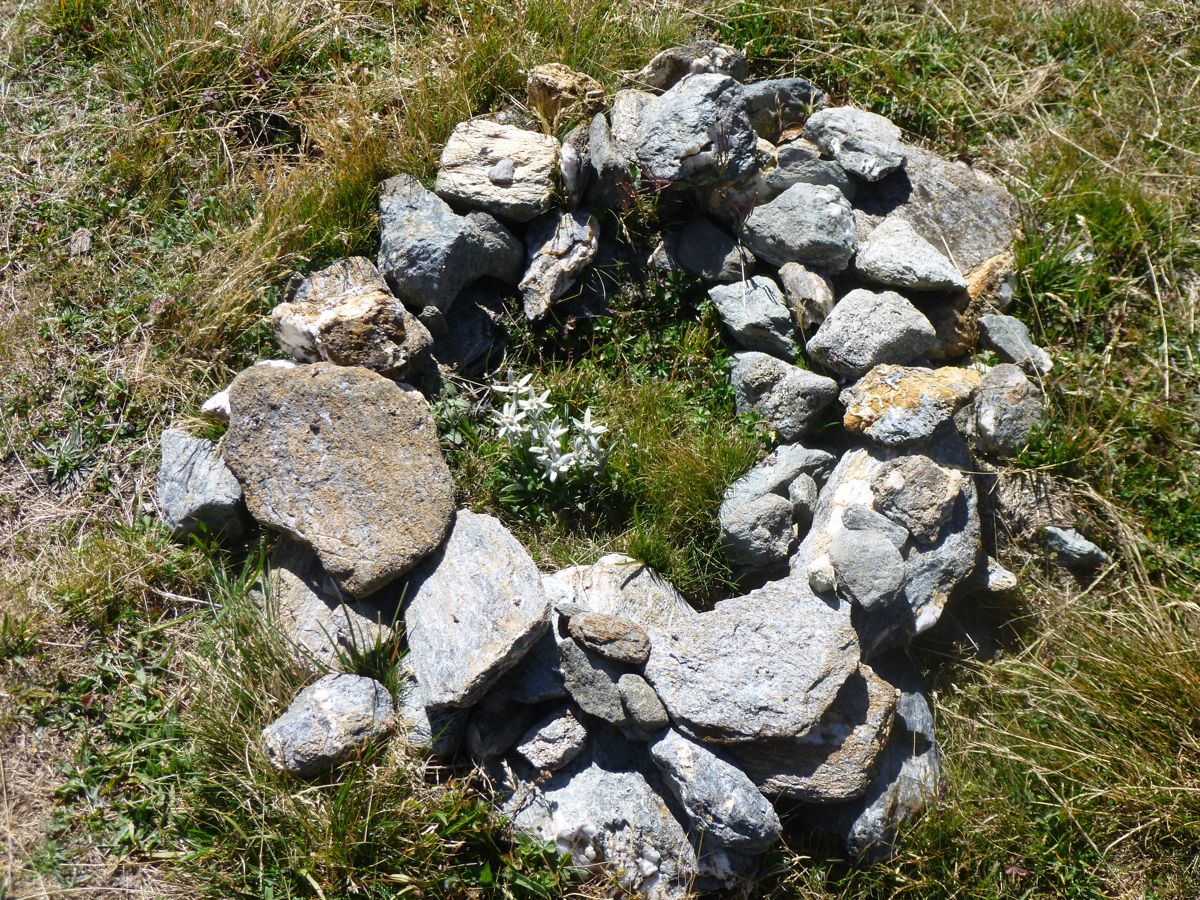 Réserve Naturelle de la Sassière,