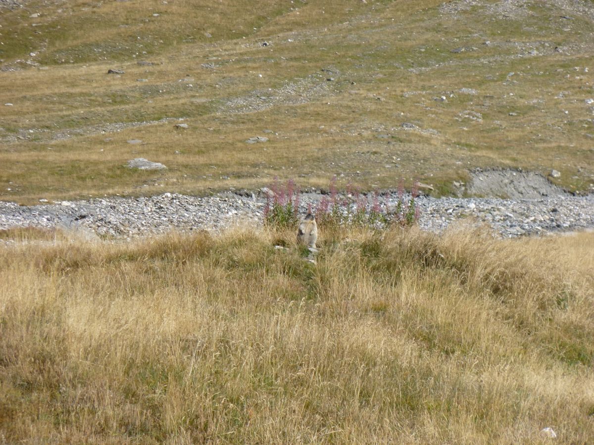 Réserve Naturelle de la Sassière,