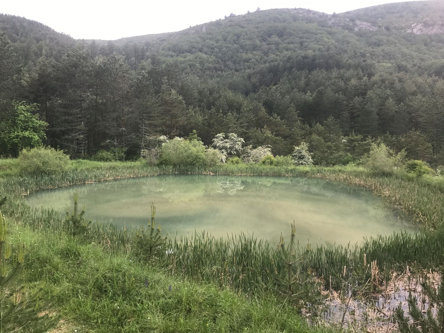 D17 Petit lac