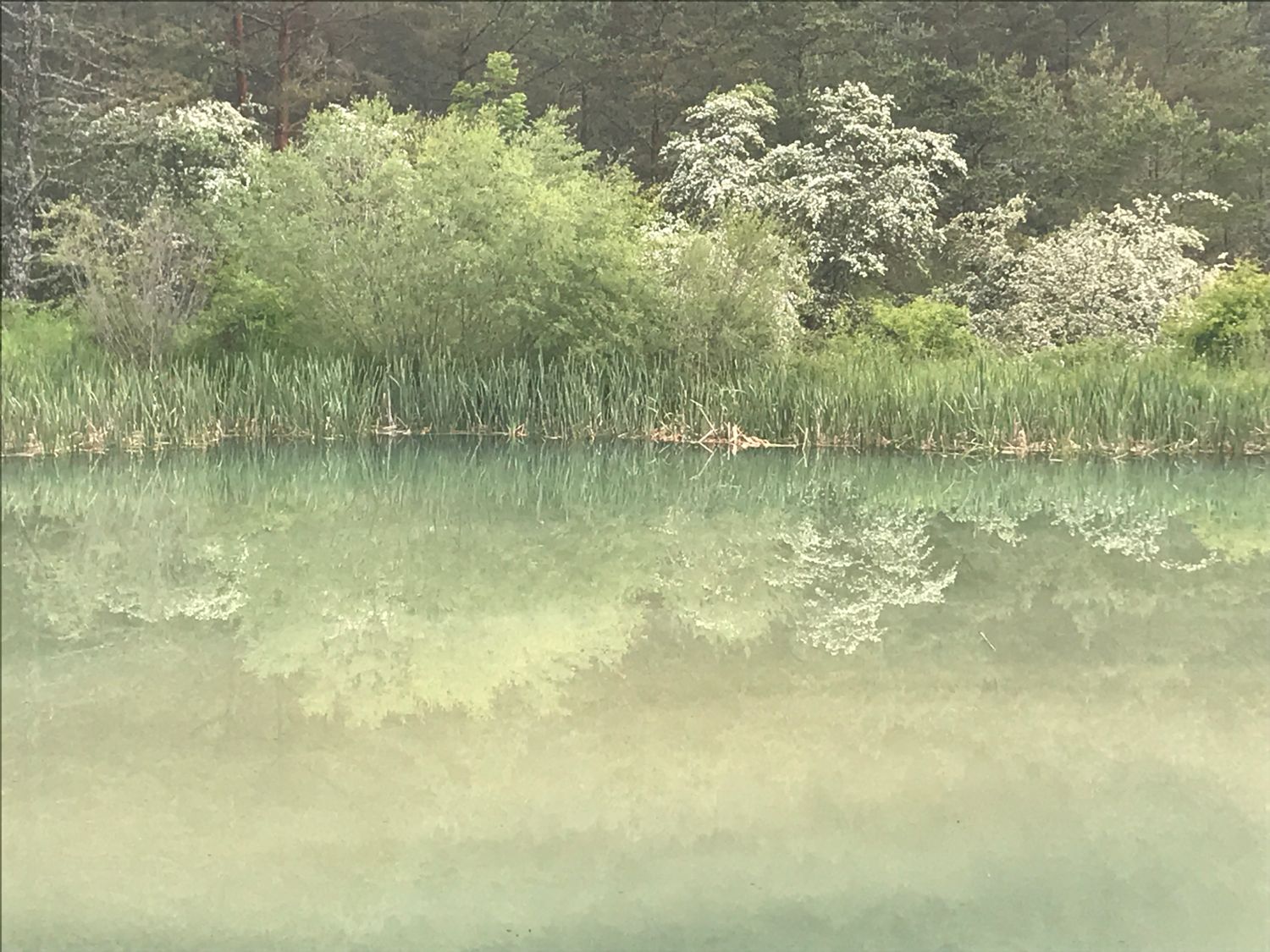 D17 Petit lac