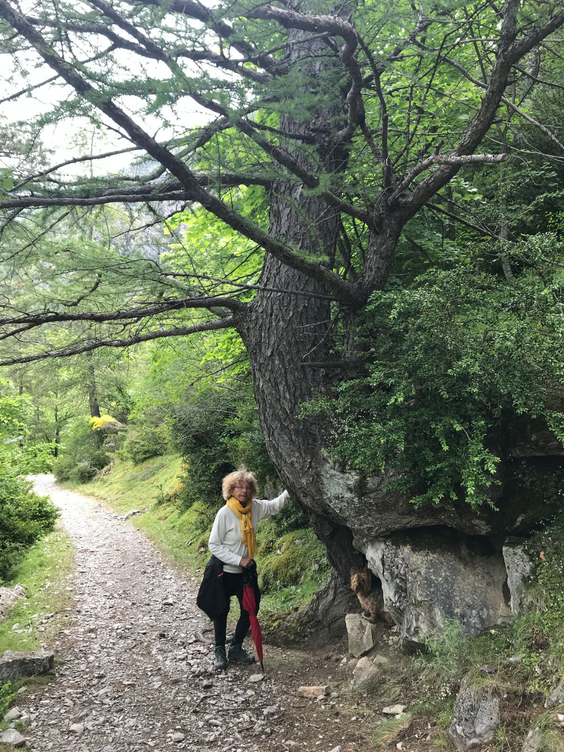 sentier d'Aurent