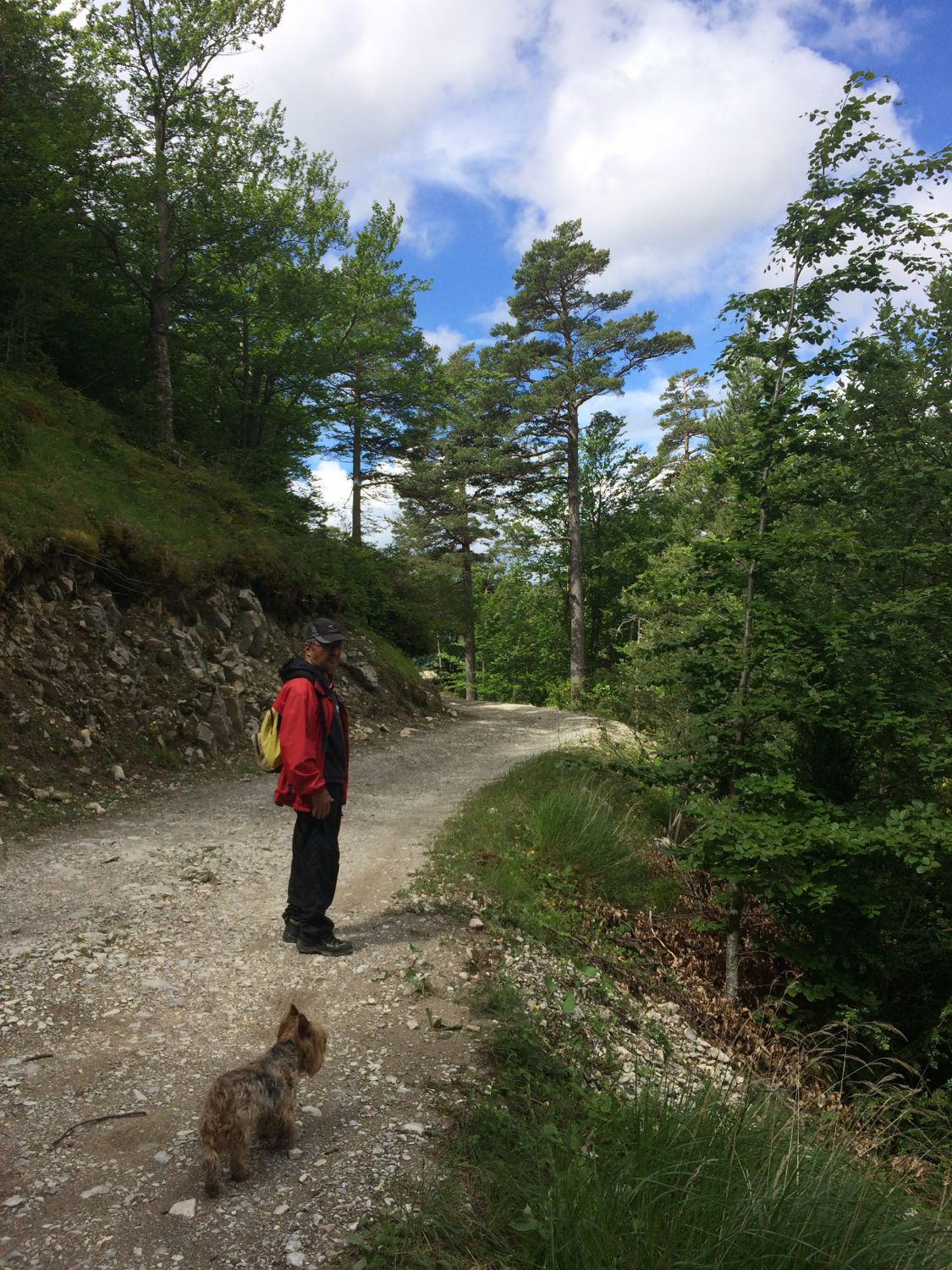 Col du Fa