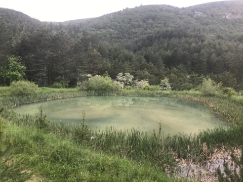 D17 Petit lac