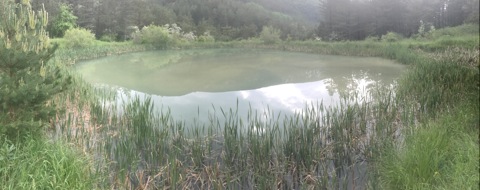 D17 Petit lac